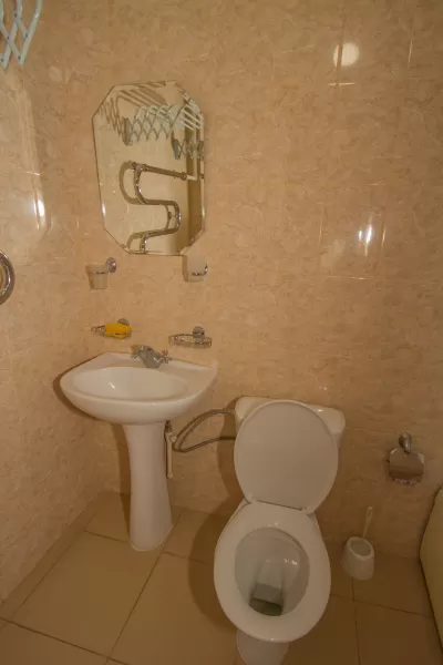 Номер стандарт двухместный в санатории Курортная больница в городе Кисловодске - фотография